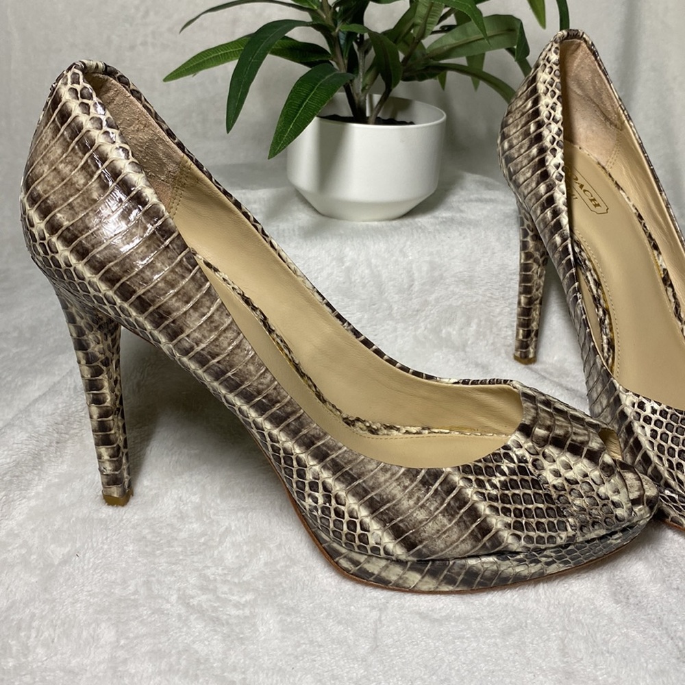 Coach Selma Python Pumps - Picture 11 of 12